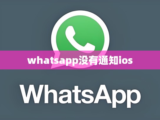 whatsapp没有通知ios