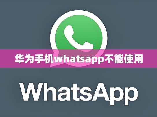 华为手机whatsapp不能使用