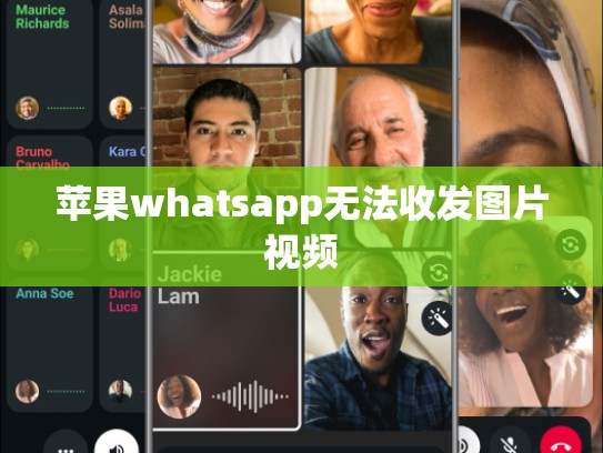 苹果whatsapp无法收发图片视频