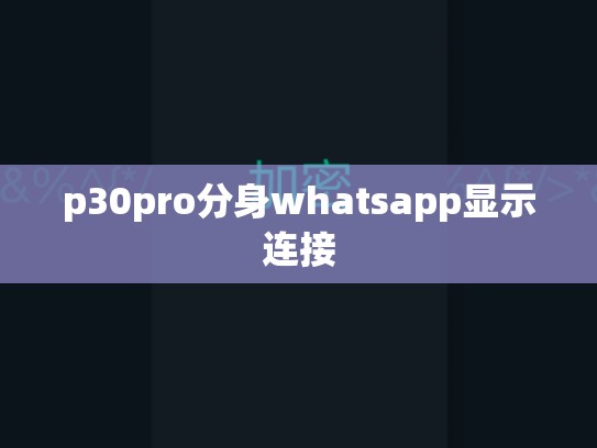 p30pro分身whatsapp显示连接