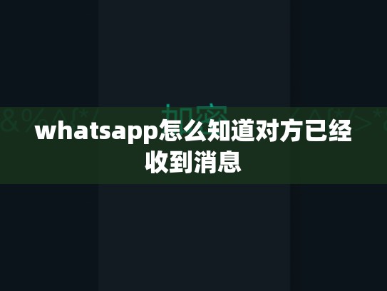 whatsapp怎么知道对方已经收到消息