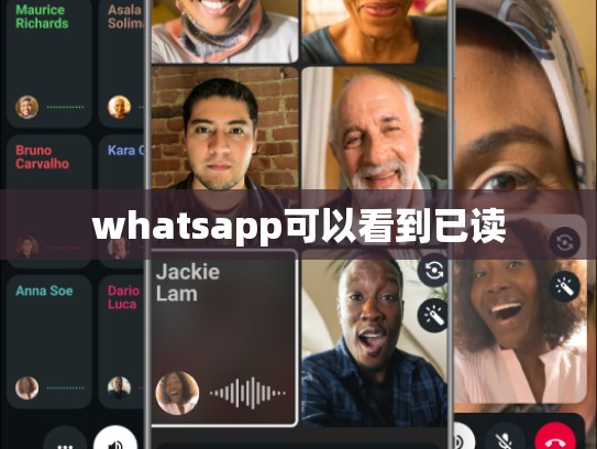 whatsapp可以看到已读