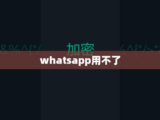 whatsapp用不了