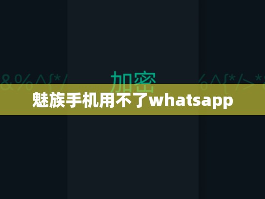 魅族手机用不了whatsapp
