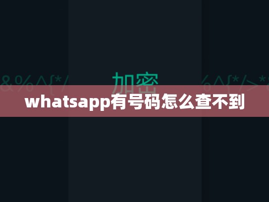 whatsapp有号码怎么查不到
