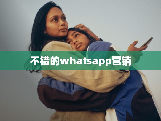 不错的whatsapp营销