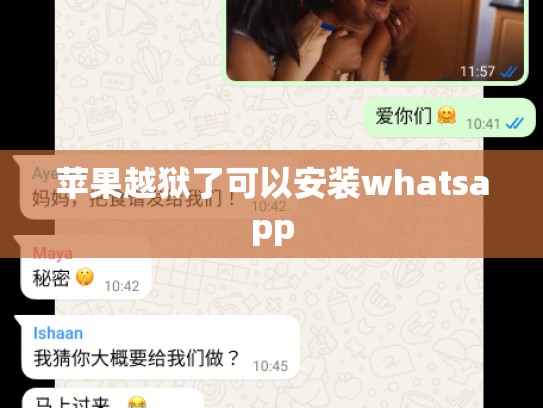 苹果越狱了可以安装whatsapp