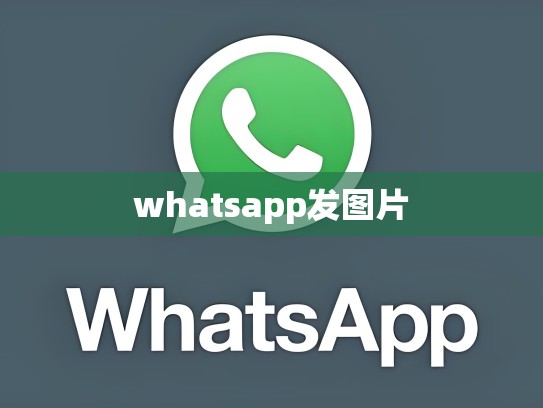 whatsapp发图片