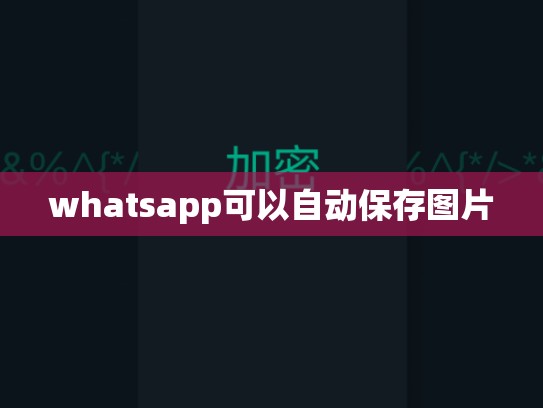 whatsapp可以自动保存图片