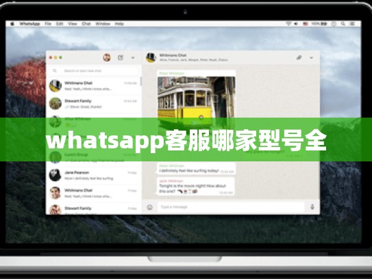 whatsapp客服哪家型号全