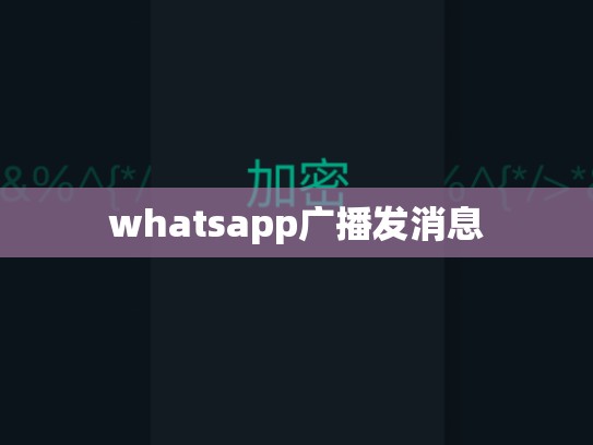 whatsapp广播发消息