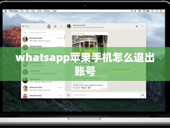 whatsapp苹果手机怎么退出账号