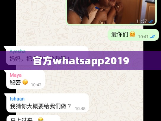 官方whatsapp2019