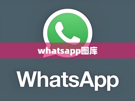 whatsapp图库