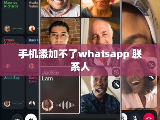 手机添加不了whatsapp 联系人