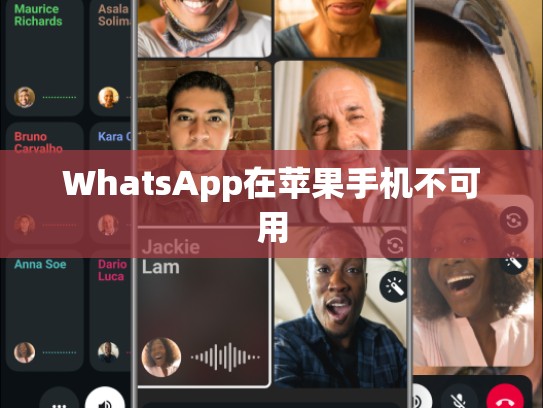 WhatsApp在苹果手机不可用