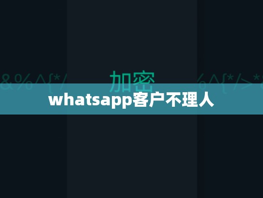 whatsapp客户不理人
