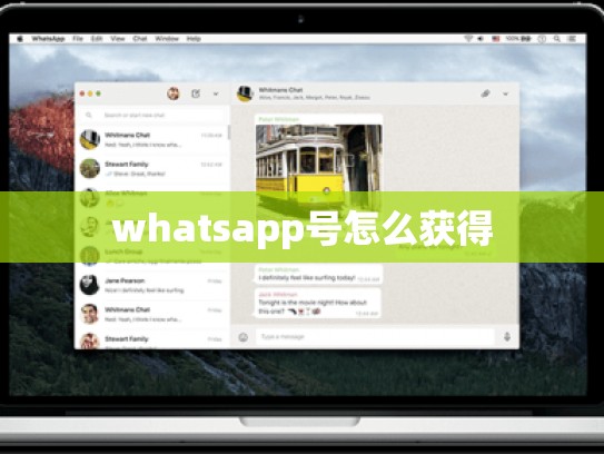 whatsapp号怎么获得