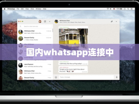 国内whatsapp连接中