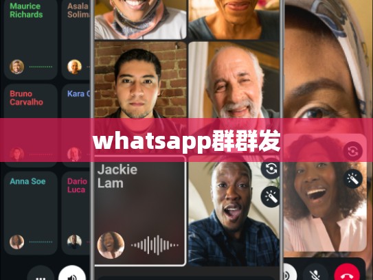 whatsapp群群发