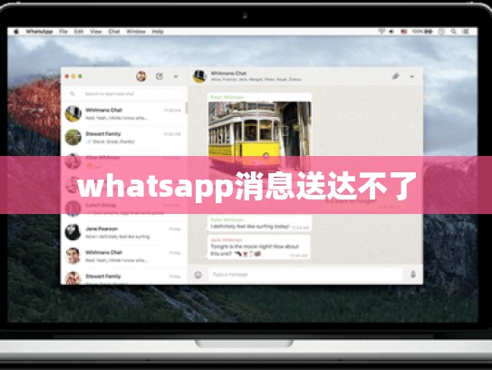 whatsapp消息送达不了