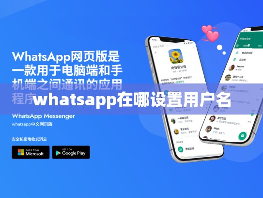whatsapp在哪设置用户名