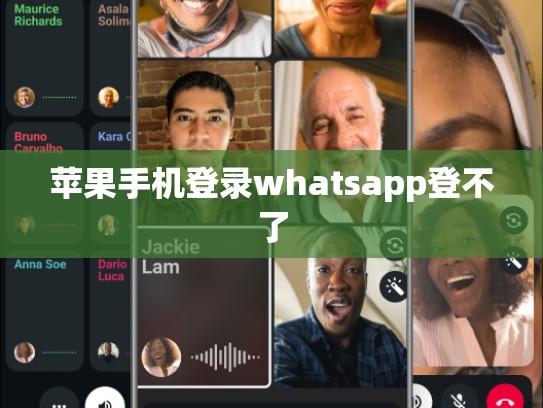 苹果手机登录whatsapp登不了