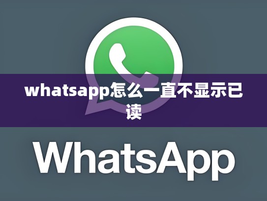 whatsapp怎么一直不显示已读