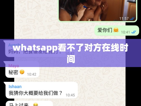 whatsapp看不了对方在线时间