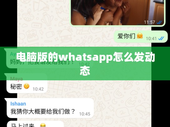 电脑版的whatsapp怎么发动态