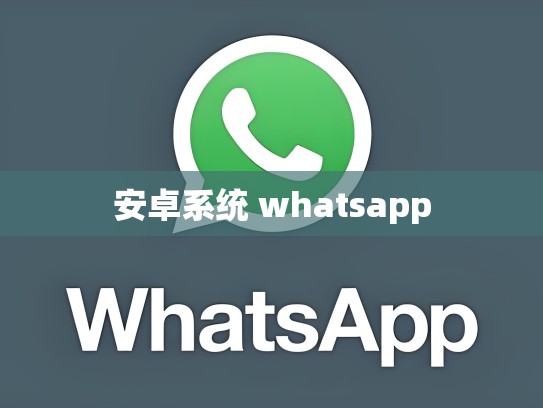 安卓系统 whatsapp