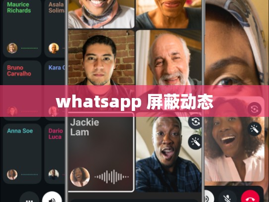 whatsapp 屏蔽动态