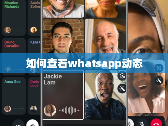 如何查看whatsapp动态