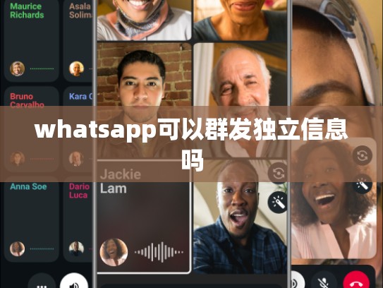 whatsapp可以群发独立信息吗