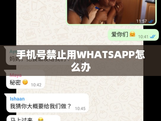 手机号禁止用WHATSAPP怎么办