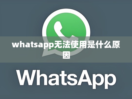 whatsapp无法使用是什么原因