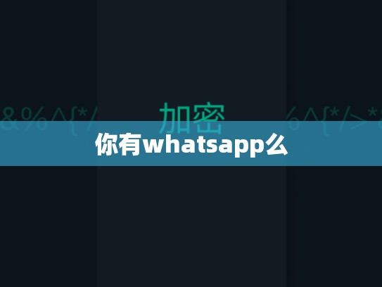 你有whatsapp么