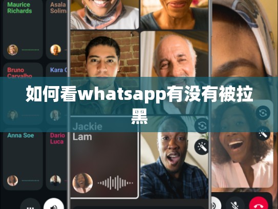 如何看whatsapp有没有被拉黑