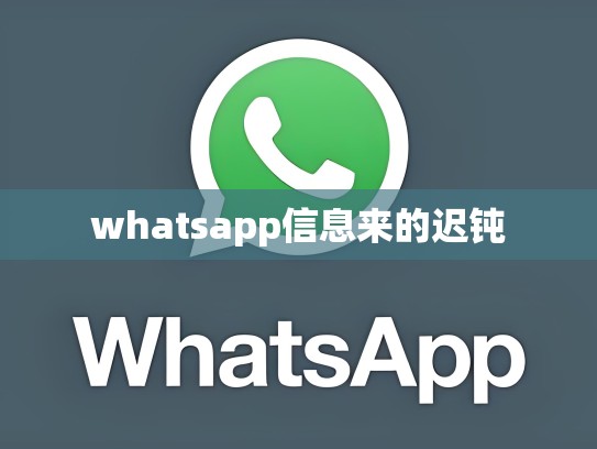 whatsapp信息来的迟钝