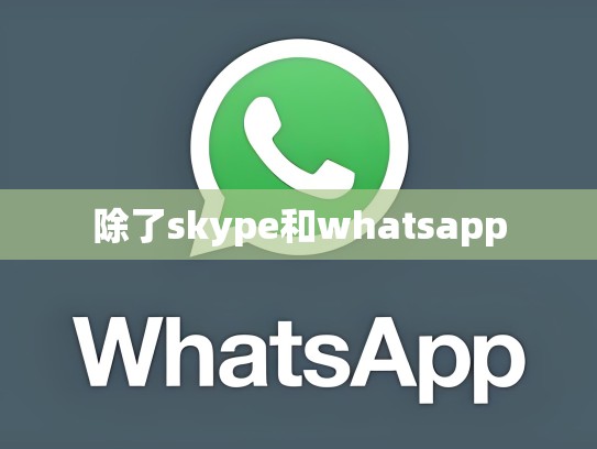 除了skype和whatsapp