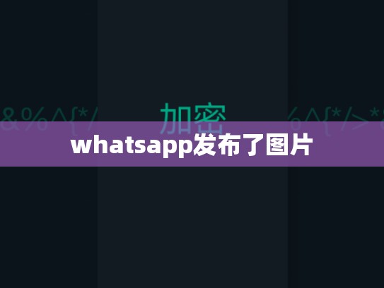 whatsapp发布了图片