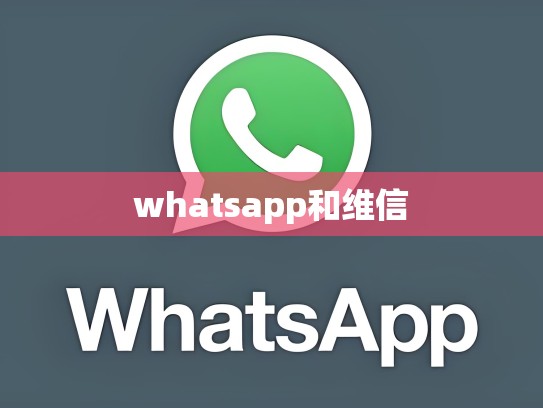 whatsapp和维信