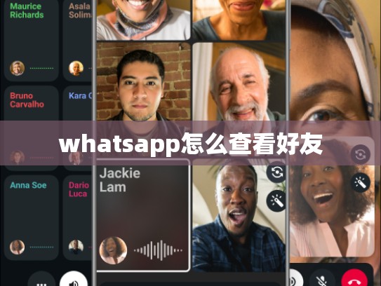 whatsapp怎么查看好友