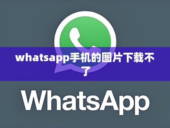 whatsapp手机的图片下载不了