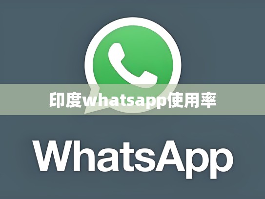 印度whatsapp使用率