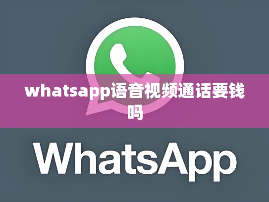 whatsapp语音视频通话要钱吗