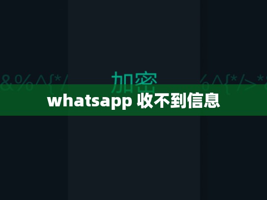 whatsapp 收不到信息