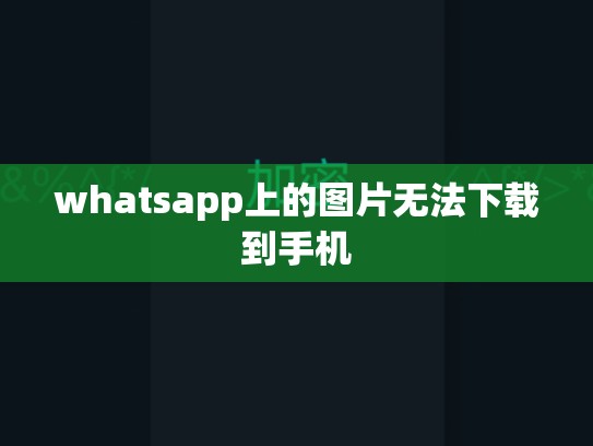 whatsapp上的图片无法下载到手机