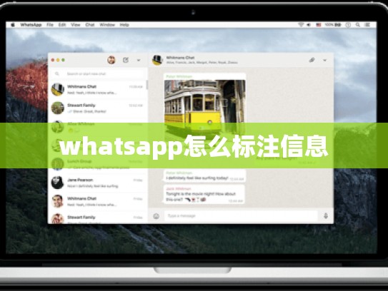 whatsapp怎么标注信息