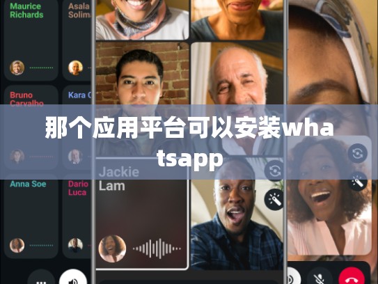 那个应用平台可以安装whatsapp